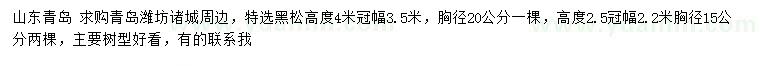 求购胸径15、20公分黑松