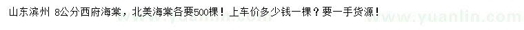 求购8公分西府海棠、北美海棠