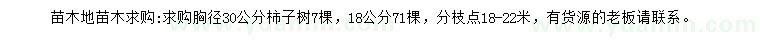 求购胸径18、30公分柿子树