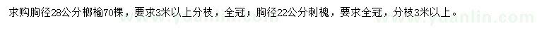 求购胸径28公分榔榆、胸径22公分刺槐