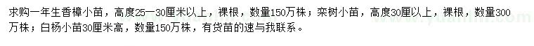 求购香樟、栾树、白杨小苗