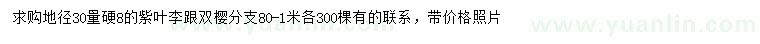 求购地径30量硬8公分紫叶李跟、双樱