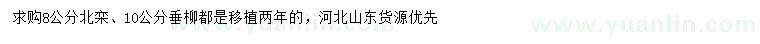 求购8公分北栾、10公分垂柳