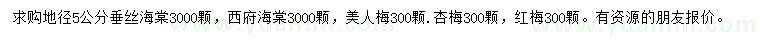 求购垂丝海棠、西府海棠、美人梅等