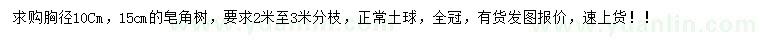 求购胸径10、15公分皂角树