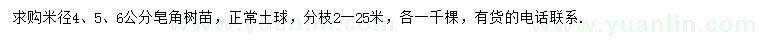求购米径4、5、6公分皂角树苗