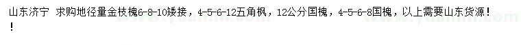 求购金枝槐、五角枫、国槐