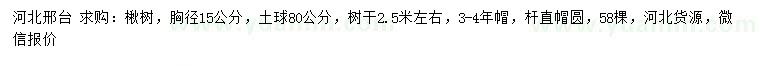 求购胸径15公分楸树