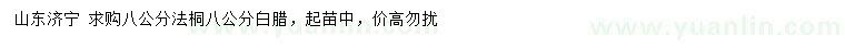 求购8公分法桐、白腊