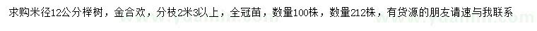 求购米径12公分榉树、金合欢