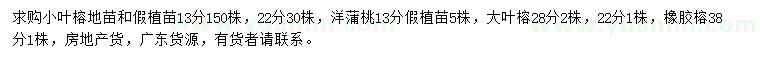 求购小叶榕、洋蒲桃、大叶榕等