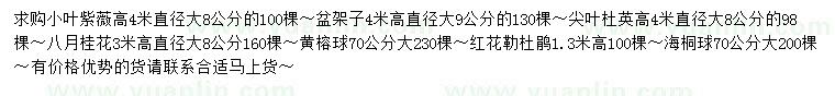 求购小叶紫薇、杜英、八月桂等