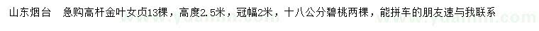 求购高度2.5米高杆金叶女贞、18公分碧桃