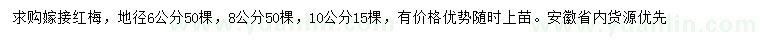 求购地径6、8、10公分嫁接红梅