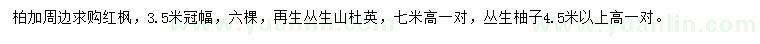 求购红枫、丛生山杜英、丛生柚子