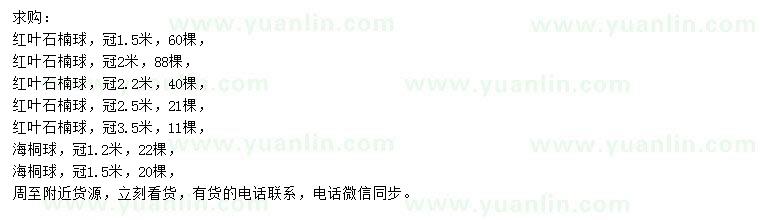 求购冠1.5、2、2.2、2.5、3.5米红叶石楠球、冠1.2、1.5米海桐球
