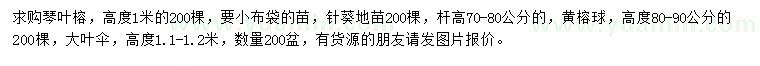 求购琴叶榕、针葵、黄榕球等