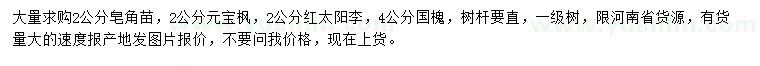 求购皂角苗、元宝枫、红太阳李等