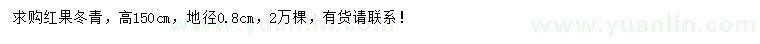 求购高150公分红果冬青