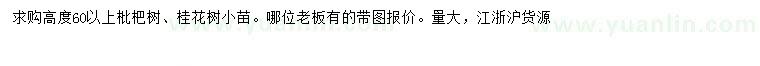 求购高60以上枇杷树、桂花小苗