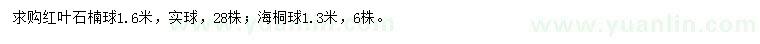 求购1.6米红叶石楠球、1.3米海桐球