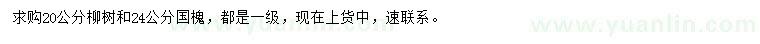 求购20公分柳树、24公分国槐