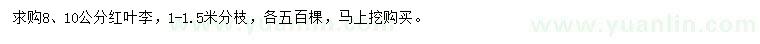 求购8、10公分红叶李