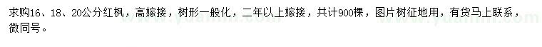 求购16、18、20公分红枫