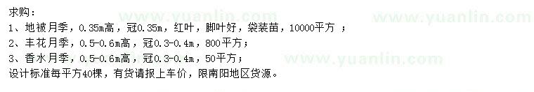 求购地被月季、丰花月季、香水月季