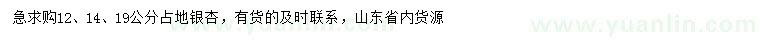 求购12、14、19公分银杏