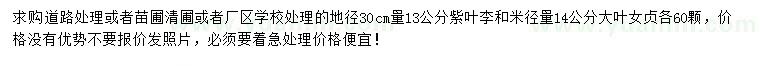 求购地径30量13公分紫叶李、米径量14公分大叶女贞