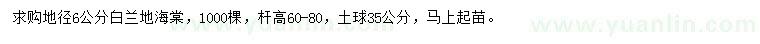 求购地径6公分白兰地海棠