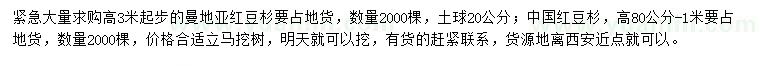 求购高3米曼地亚红豆杉、高0.8-1米中国红豆杉