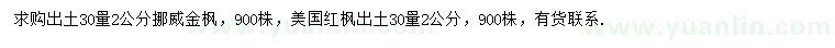 求购出土30量2公分挪威金枫、美国红枫