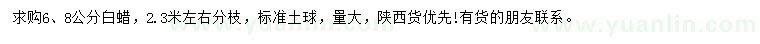 求购6、8公分白蜡