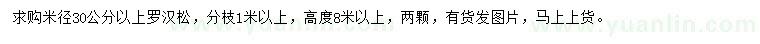 求购米径30公分以上罗汉松
