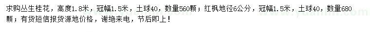 求购高度1.8米丛生桂花、地径6公分红枫