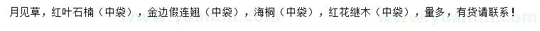 求购月见草、红叶石楠苗、金边假连翘苗等