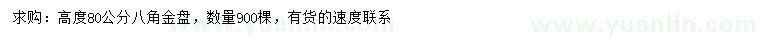 求购高80公分八角金盘