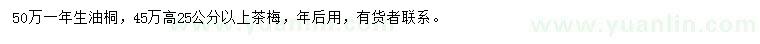 求购一年生油桐、高25公分以上茶梅