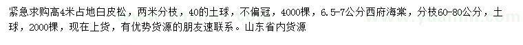 求购高4米白皮松、6.5-7公分西府海棠