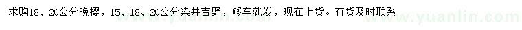 求购18、20公分晚樱、15、18、20公分染井吉野樱