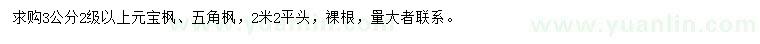 求购3公分元宝枫、五角枫