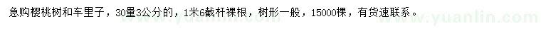 求购30量3公分樱桃树、车里子