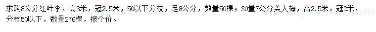 求购8公分红叶李、30量7公分美人梅