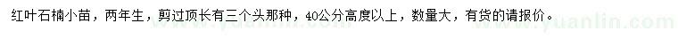 求购高40公分以上红叶石楠小苗