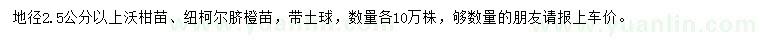 求购地径2.5公分以上沃柑苗、纽柯尔脐橙苗