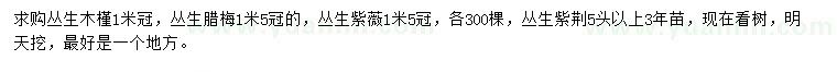 求购丛生木槿、丛生腊梅、丛生紫薇等