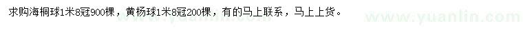 求购冠1.8米海桐球、黄杨球