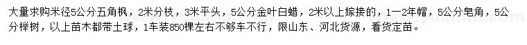 求购五角枫、金叶白蜡、皂角等